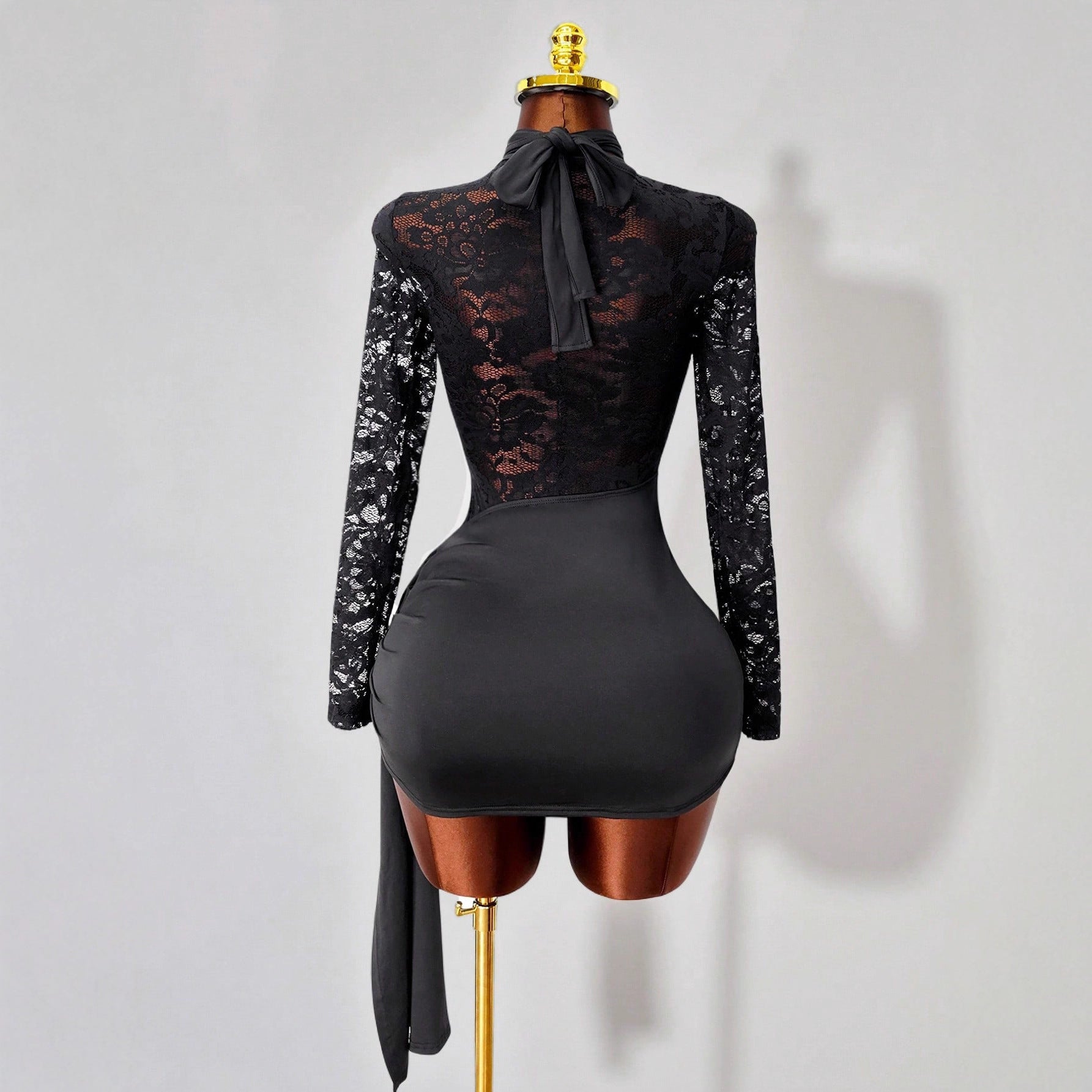 Sexy Lace Sheer Long Sleeve Bodycon Dress with Tie-Back Neckline for Women